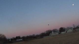 The Bat Wing 64mm RC JET Sunset FlightScratch builtcheck it out [upl. by Allissa]