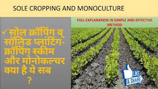 Monocropping Sole cropping and Crooping scheme [upl. by Ontine]