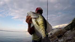 Fall Crappie Fishing From The Bank [upl. by Lleda815]