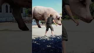 Boy kicks ball and smashes old sow statue in square [upl. by Draned]