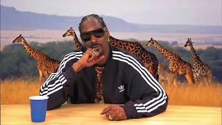 HILARIOUS Snoop Dogg narrates Animal Planet Documentary [upl. by Cacia847]