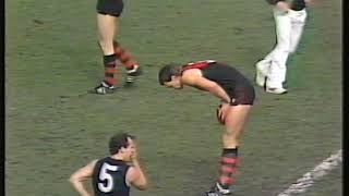 1986 Essendon vs Carlton  MCG  AFL Football [upl. by Dasa]