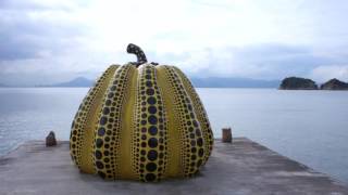 The Yellow Pumpkin in Naoshima [upl. by Bolme386]