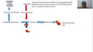 Pyruvate Kinase Deficiency [upl. by Marolda]