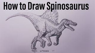 How to Draw Spinosaurus part 1 jurassic park 3 [upl. by Dionis]