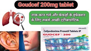 Goudcef tablet use in Hindigoudcef tablet ki puri jankariSeptember 20 2024 [upl. by Rednave]