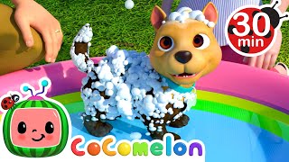 Bingos Bath Song and More  Learning Healthy Habits  CoComelon Nursery Rhymes amp Kids Songs [upl. by Michail]