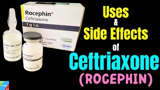 Ceftriaxone Rocephin – Side Effects Uses Mechanism of Action Dosage Interactions Warnings [upl. by Stokes640]