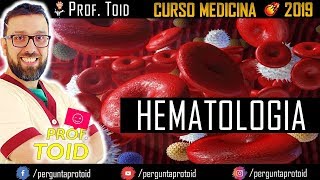 💉 Hematologia Básica  Medicina  Ensino Superior  Prof Toid 💉 [upl. by Ymma]