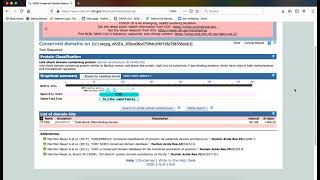 Identification of Conserved Domains [upl. by Pauletta]