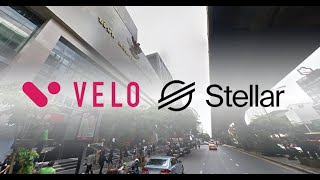 Velo Xlm A Bold 1000 Prediction For Big Growth In 2024 shx smole xrpl XRP [upl. by Nie]