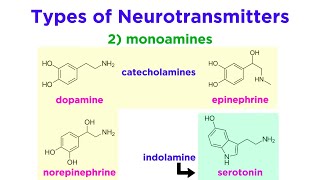 Neurotransmitters Type Structure and Function [upl. by Herr]