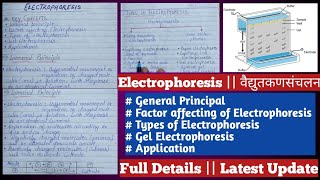 electrophoresis  gel electrophoresis  electrophoresis in Hindi [upl. by Lemhar182]