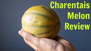 Charentais Melon Review  Weird Fruit Explorer Ep 190 [upl. by Ferreby]