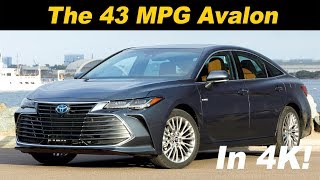 2019 Toyota Avalon Hybrid Review  First Drive [upl. by Daza991]