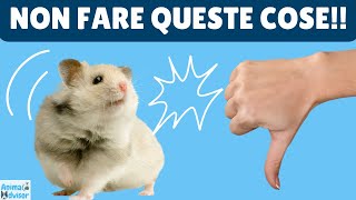 Cosa NON fare con un criceto 10 errori da evitare 🐹🐹 [upl. by Gazo577]