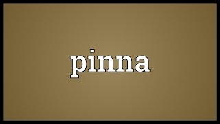 Pinna Meaning [upl. by Croydon]