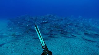 Spearfishing for Mulloway  Jewfish on coastal headlands [upl. by Chelton]