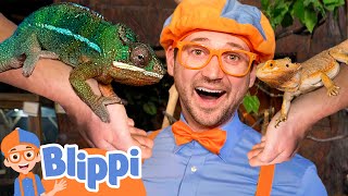 Blippi Meets Reptile Friends at the Aquarium  Educational Videos for Kids [upl. by Areid]