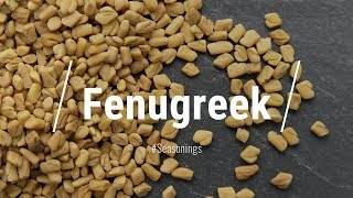 🔵 All About Fenugreek [upl. by Siulesoj]