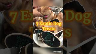 Never Seen Before 7 exotic dog treats dog pets mustwatch furbaby [upl. by Vanya]