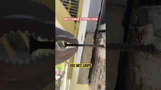 How to remove stripped SCREW using vice grips Stripped HANDYMAN Cheat vicegrips shorts [upl. by Schinica981]