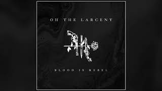 Oh The Larceny  Another Level Official Audio Music used by DudePerfect [upl. by Enicar]