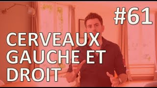 Cerveau Gauche vs Cerveau Droit  1jour1geste 61 [upl. by Naor]