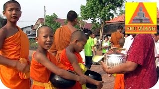 Kleine Mönche Thailand 2014 พระสงฆ์ที่ขนาดเล็ก ปี๒๕๕๗ [upl. by Auqinahc884]