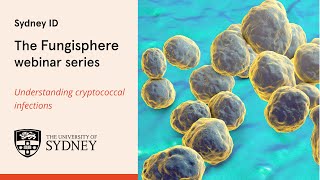 The Fungisphere  Understanding cryptococcal infections [upl. by Anoniw]