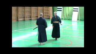 Kōryūkai 2016 Kobudō Enbu Taikai  Hōki Ryū e Katayama Ryū [upl. by Anillehs]