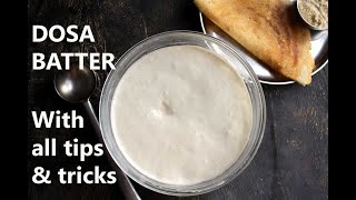 DOSA BATTER RECIPE  HOW TO MAKE DOSA BATTER  HOME with tips and tricks [upl. by Radferd]