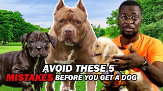 Dont make these MISTAKES before you get a DOG or PUPPY [upl. by Thorma]