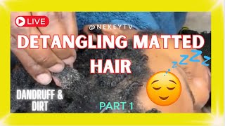 ASMR DETANGLING DIRTY MATTED NATURAL HAIR Part 1 satisfying naturalhair dandruff [upl. by Liba]