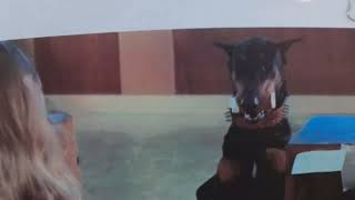 1972s The Doberman Gang filming location The Dobermans rob the bank Simi Valley California [upl. by Edyth]