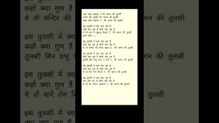 shorts lyrics lyricvideo tulsi tulsivivah bhajanlyrics lyricalbhajan lyricsstatus [upl. by Bradwell]