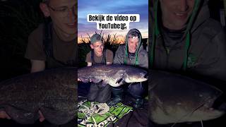 Een prachtig MEERVALavontuur met expert Albert Dekker🎣 Bekijk de video op YouTube🎥🔥 meerval [upl. by Ruthann809]