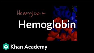 Hemoglobin  Human anatomy and physiology  Health amp Medicine  Khan Academy [upl. by Cerallua597]