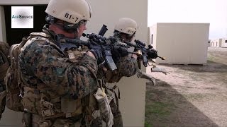 JGSDF 1st Recon Marines Conduct Raid Training [upl. by Hemetaf664]