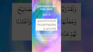 SURAH MULK HIFZ CHALLENGE ✨Calming Quran Recitation quran egzonibrahimi surah islamicshorts [upl. by Ilera]