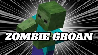 MINECRAFT ZOMBIE GROAN SOUND 1 HOUR [upl. by Delmar710]