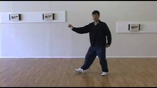 Yang Family Tai Chi Step Back Repulse Monkey [upl. by Assyli]