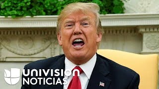 La oficina de Derechos Humanos de la ONU tilda de quotracistasquot las declaraciones de Trump [upl. by Erida263]