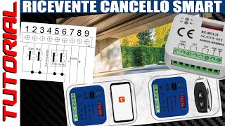 Ricevente 433 868 universale SMART  TUTORIAL collegamento scheda automazione cancello basculante [upl. by Leal967]