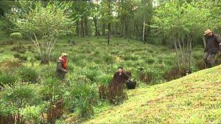 Reportage sur le Jardin de Val Maubrune à La Brionne Creuse [upl. by Oileduab]