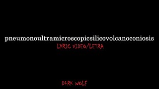 Pneumonoultramicroscopicsilicovolcanoconiosis  XAVLEG lyric video [upl. by Naneek]