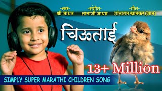 ChiuTaii Shree Jadhav चिऊताई श्री जाधवSave Sparrow Save Bird savesparrows savebirds [upl. by Olimreh794]