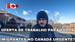 Oferta de trabalho para todos imigrantes ilegais no Canadá urgente 🇨🇦 [upl. by Anoli]