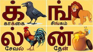 மெய்யெழுத்துக்கள் க் ங் ச் ஞ் ட் ன்TAMIL CONSONANTSTamil mei eluthukkal Pulli vaitha eluthukkal [upl. by Orrin]