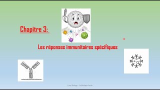 le système immunitaire SVT 3 éme année collège BIOF partie 2 [upl. by Lledniuq]